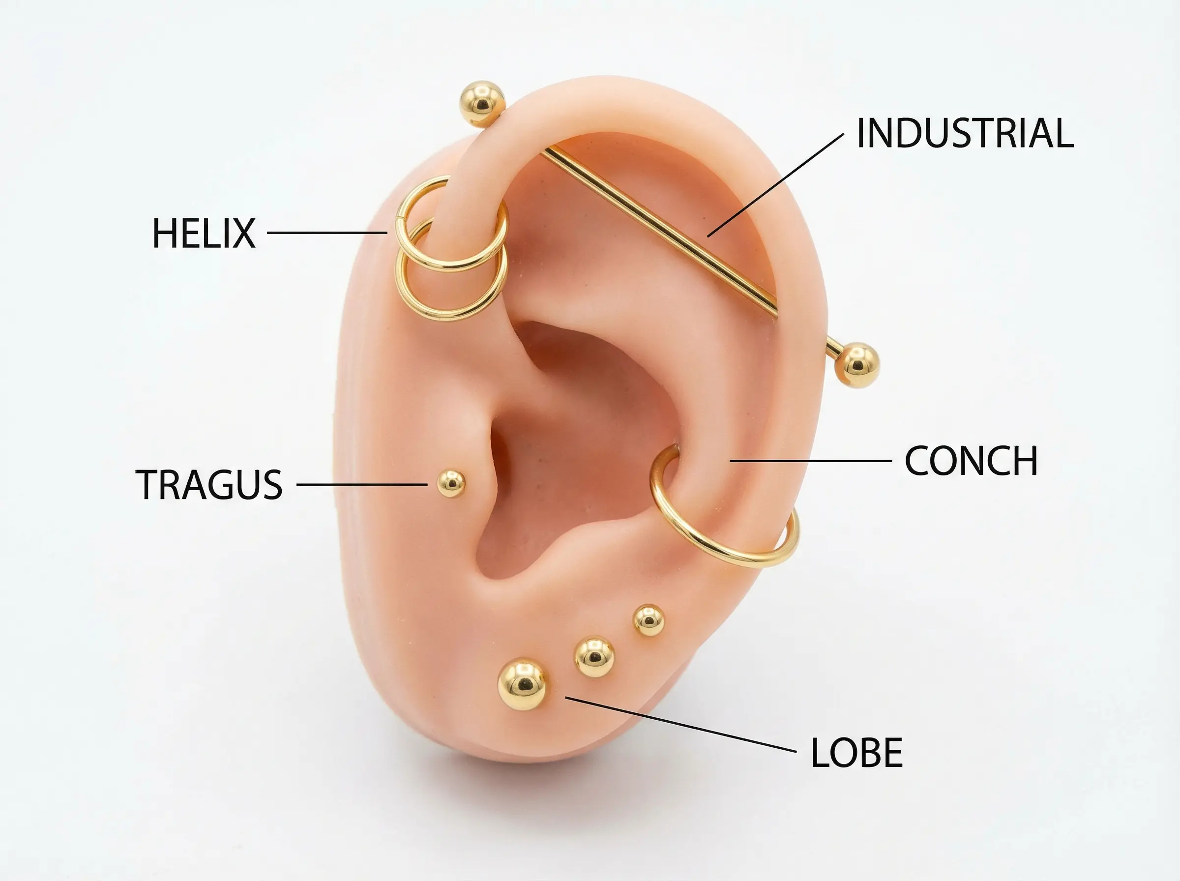 Cover image for "Ear Piercing Guide: Types, Pain Levels & Healing Times for Phoenix Residents"